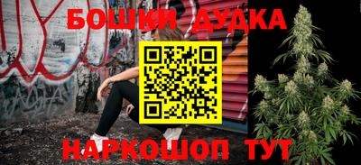 индика Обнинск